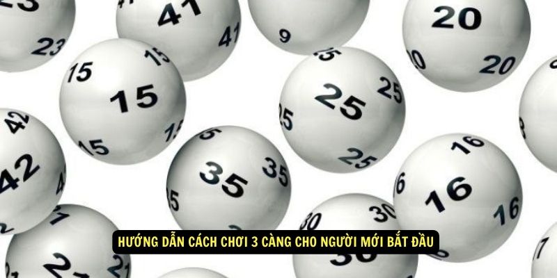 Hướng dẫn cách chơi 3 càng cho người mới bắt đầu
