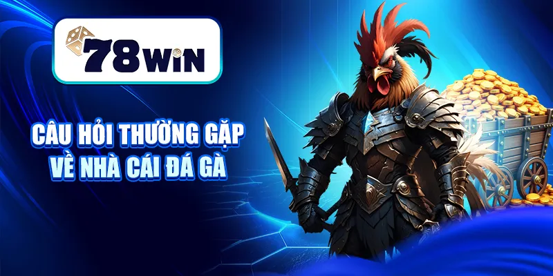 Câu hỏi thường gặp về nhà cái đá gà