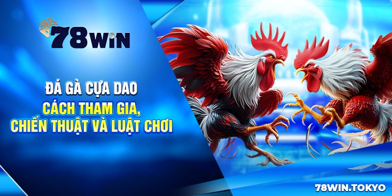Đá Gà Cựa Dao - Cách Tham Gia, Chiến Thuật Và Luật Chơi 4 Đá Gà Cựa Dao - Cách Tham Gia, Chiến Thuật Và Luật Chơi