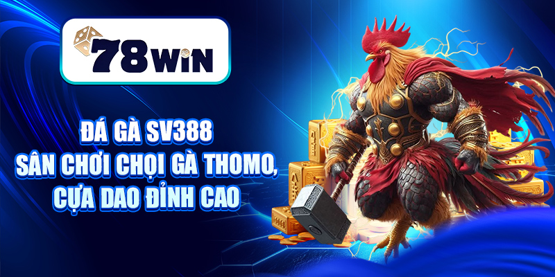 Đá Gà SV388 – Sân Chơi Chọi Gà Thomo, Cựa Dao Đỉnh Cao