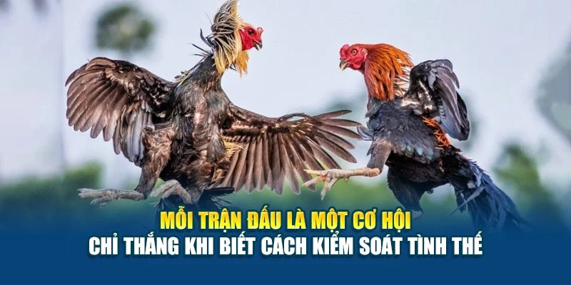 Mỗi trận đấu là một cơ hội – chỉ thắng khi biết cách kiểm soát tình thế