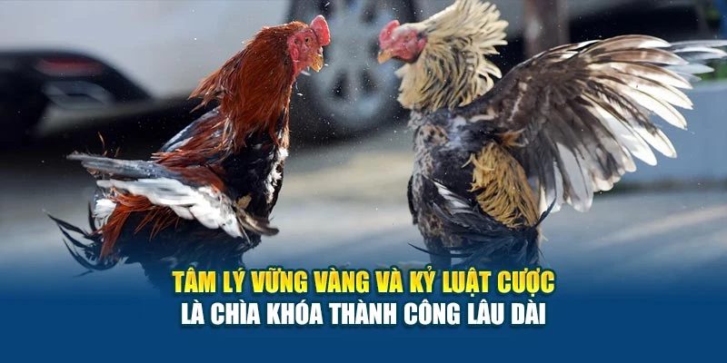 Tâm lý vững vàng và kỷ luật cược là chìa khóa thành công lâu dài